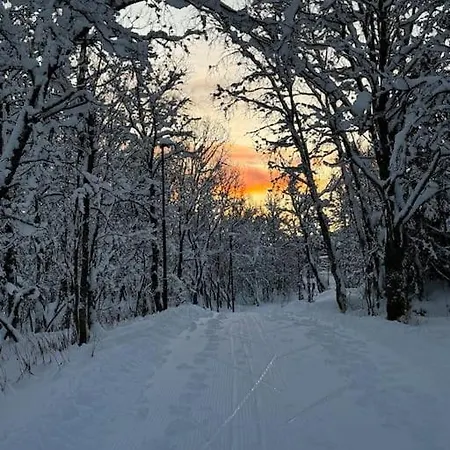 Arctic Retreat - Lovely Surrounded By Spectacular Nature Apartment Tromso