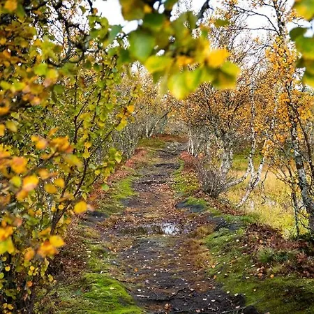 Arctic Retreat - Lovely Surrounded By Spectacular Nature