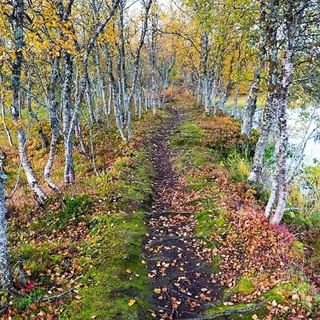 Arctic Retreat - Lovely Surrounded By Spectacular Nature Tromsø